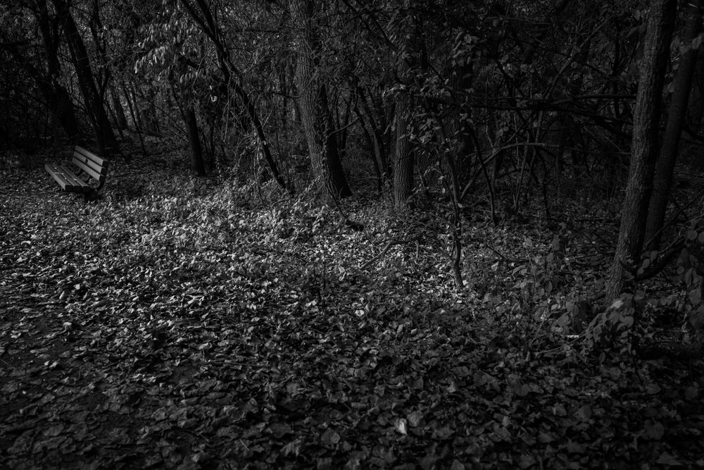 Intervals of Silence