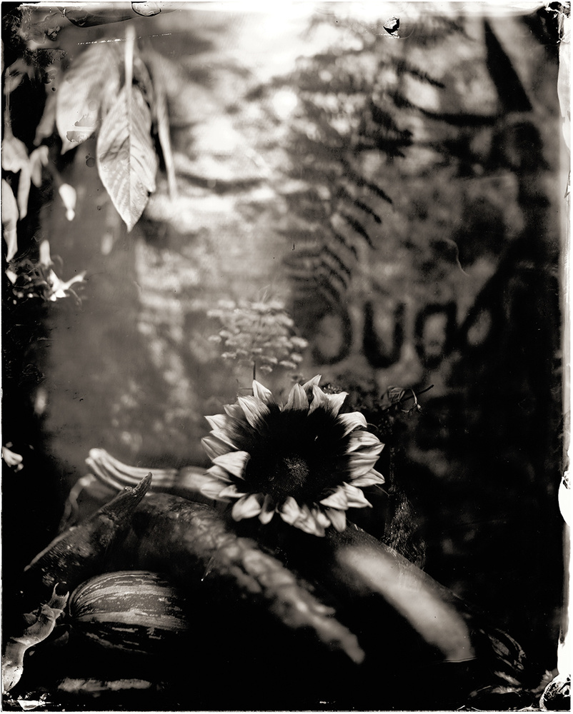 Memento Mori