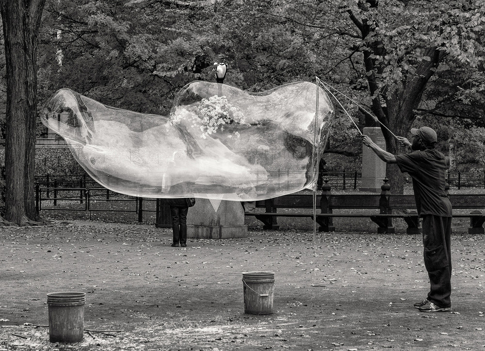 View of Sic Transit Gloria Mundi - LensCulture
