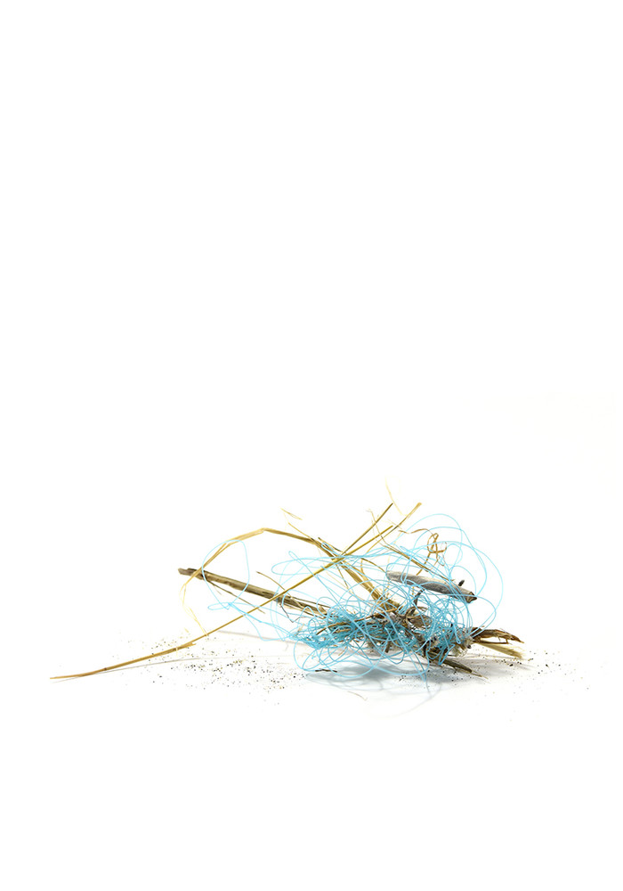 sea pollution