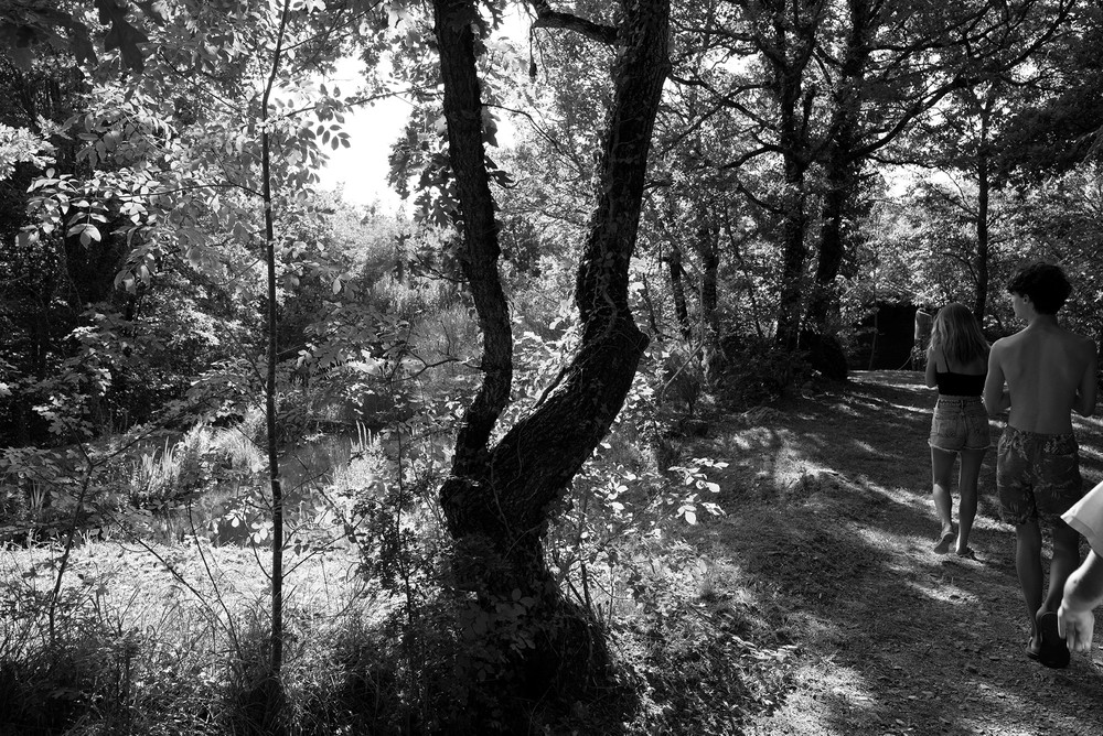 The Pond 