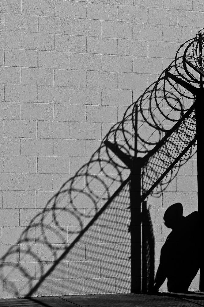 Prison Freedom