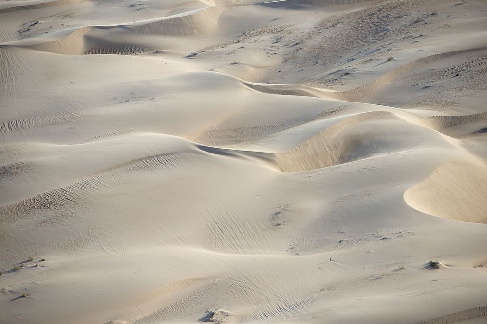 Imperials Sand Dunes, California, 2013