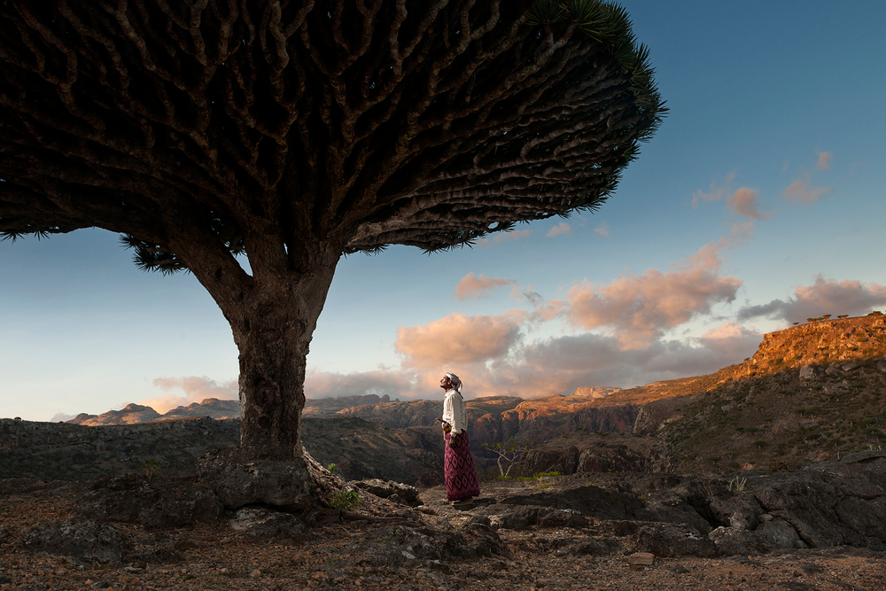 Socotra: the blessed island