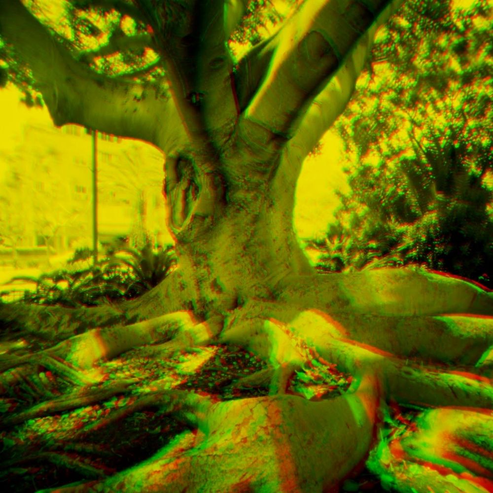 stereo pinhole