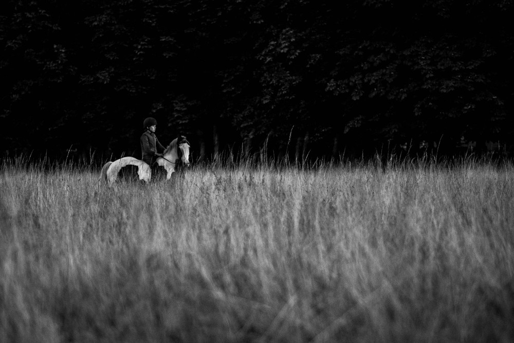 Dublin grass
