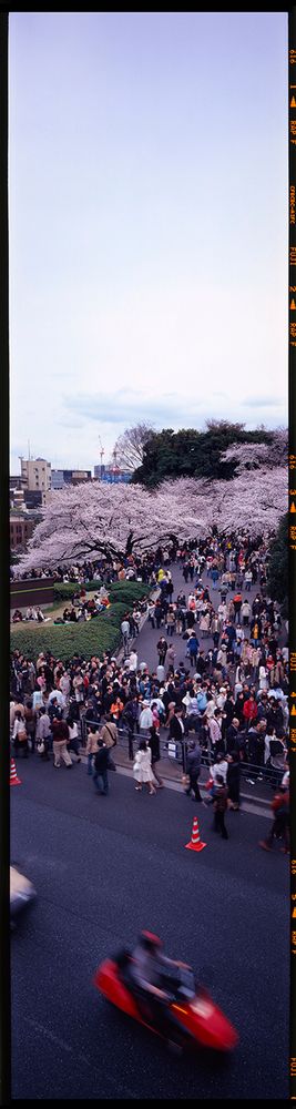 TOKYO 6X24