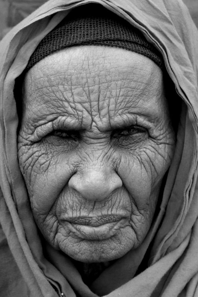 Among the Somali Grannies of Wajir
