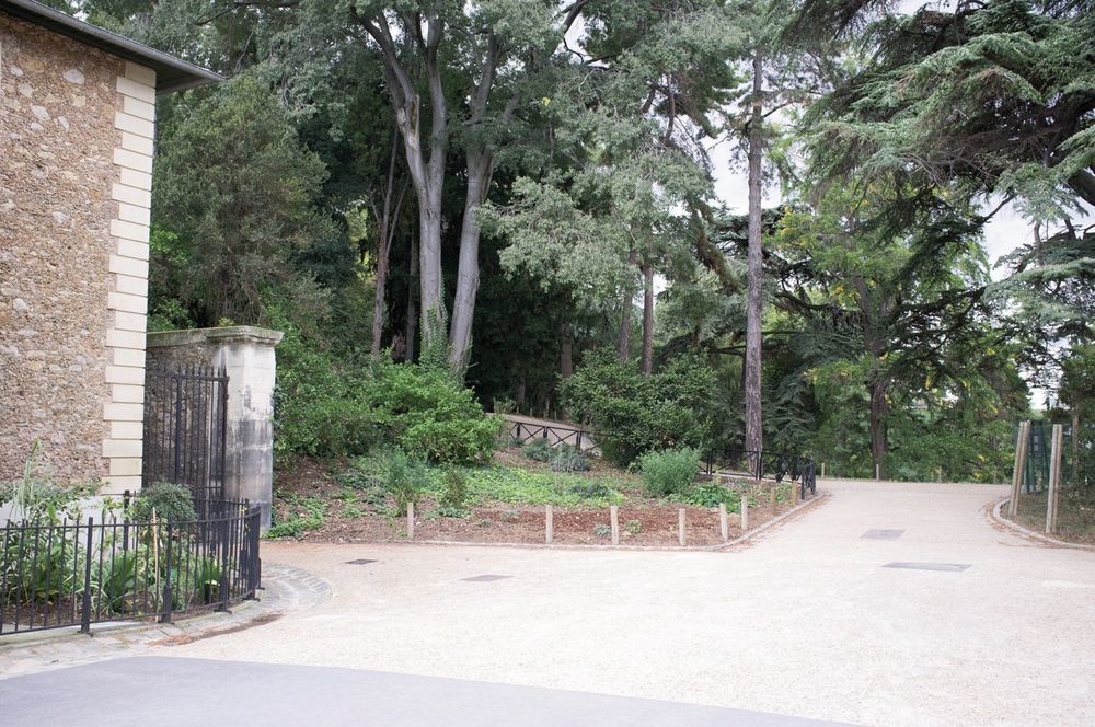 A Lady's Walk