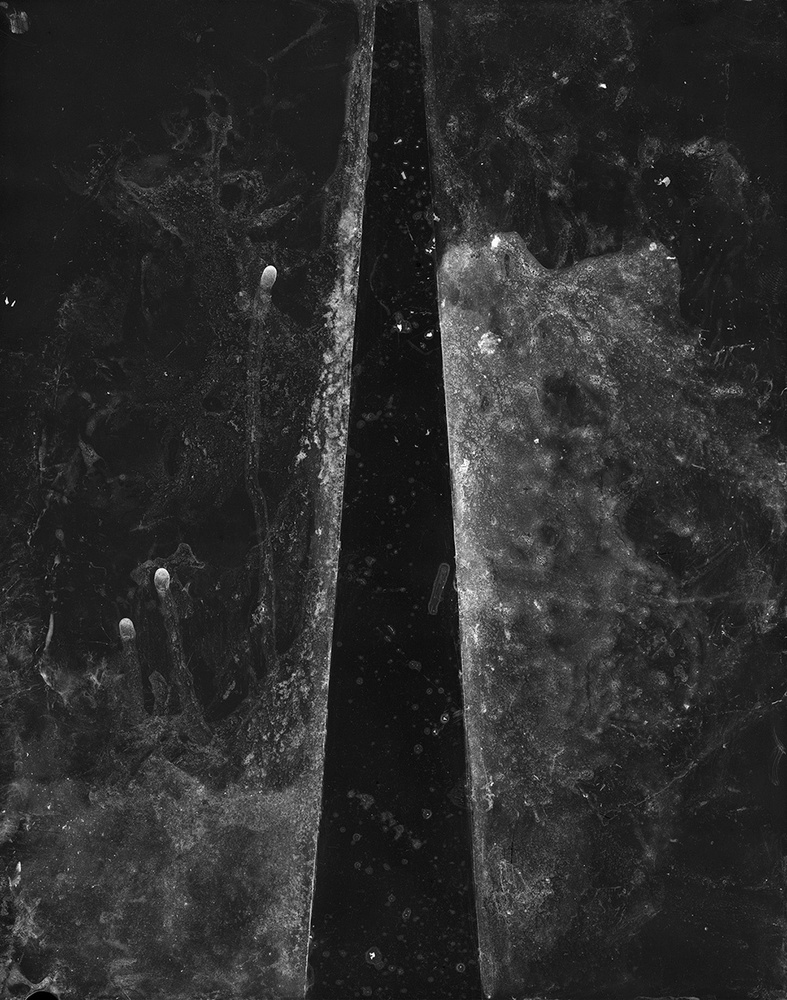 Mimesis