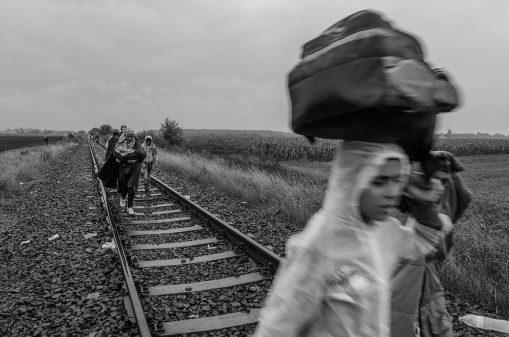 Houmer Hedayat Refugees at Röszke The fading sense of humanity