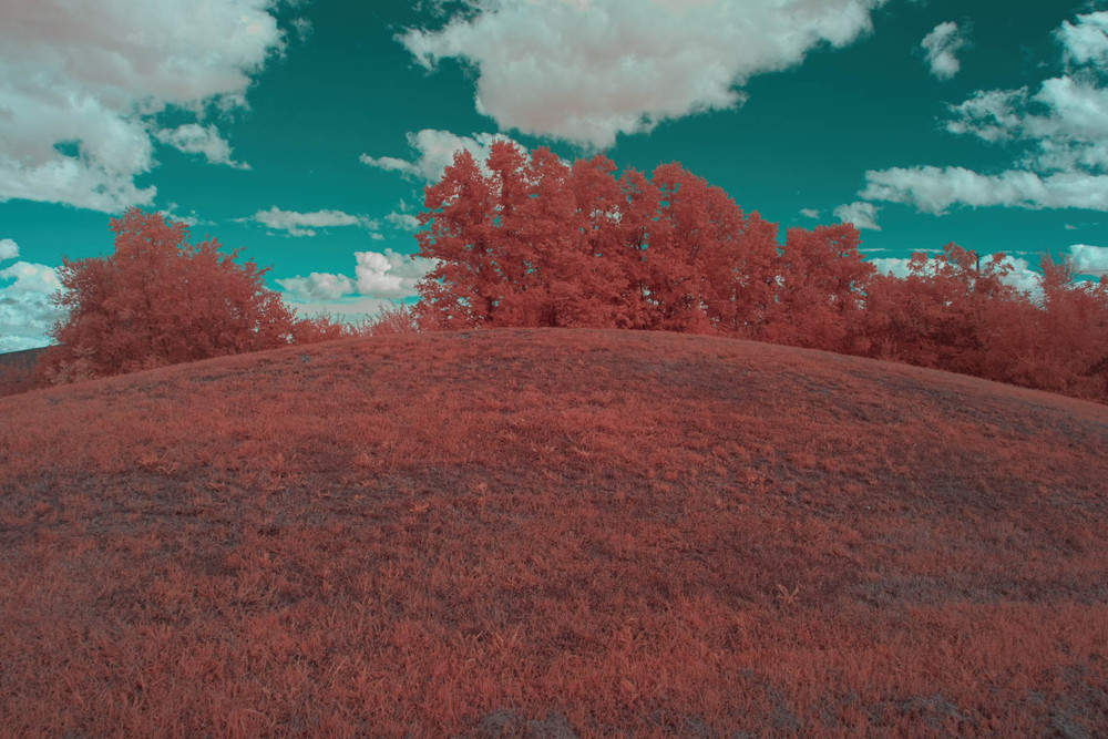 Beyond the Mind's Eye