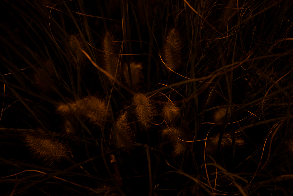 Strange place, the Night