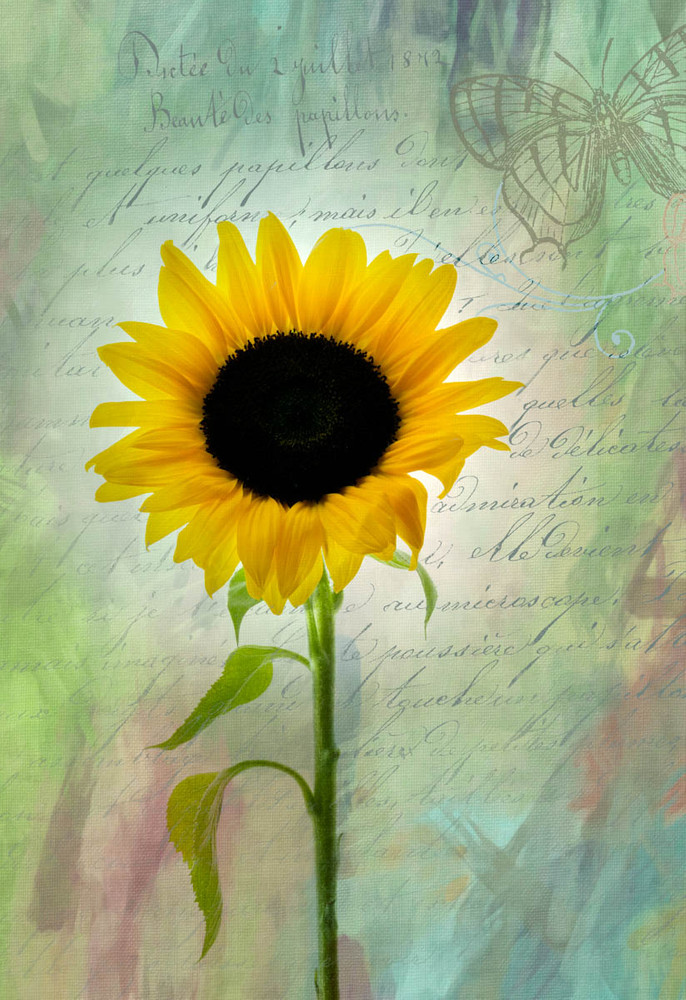 Sunrise Floral