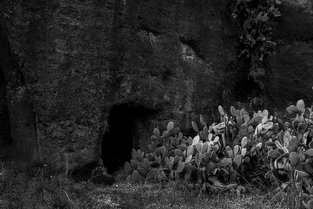 Orpheus and Eurydice, Between Phenomenon and Myth