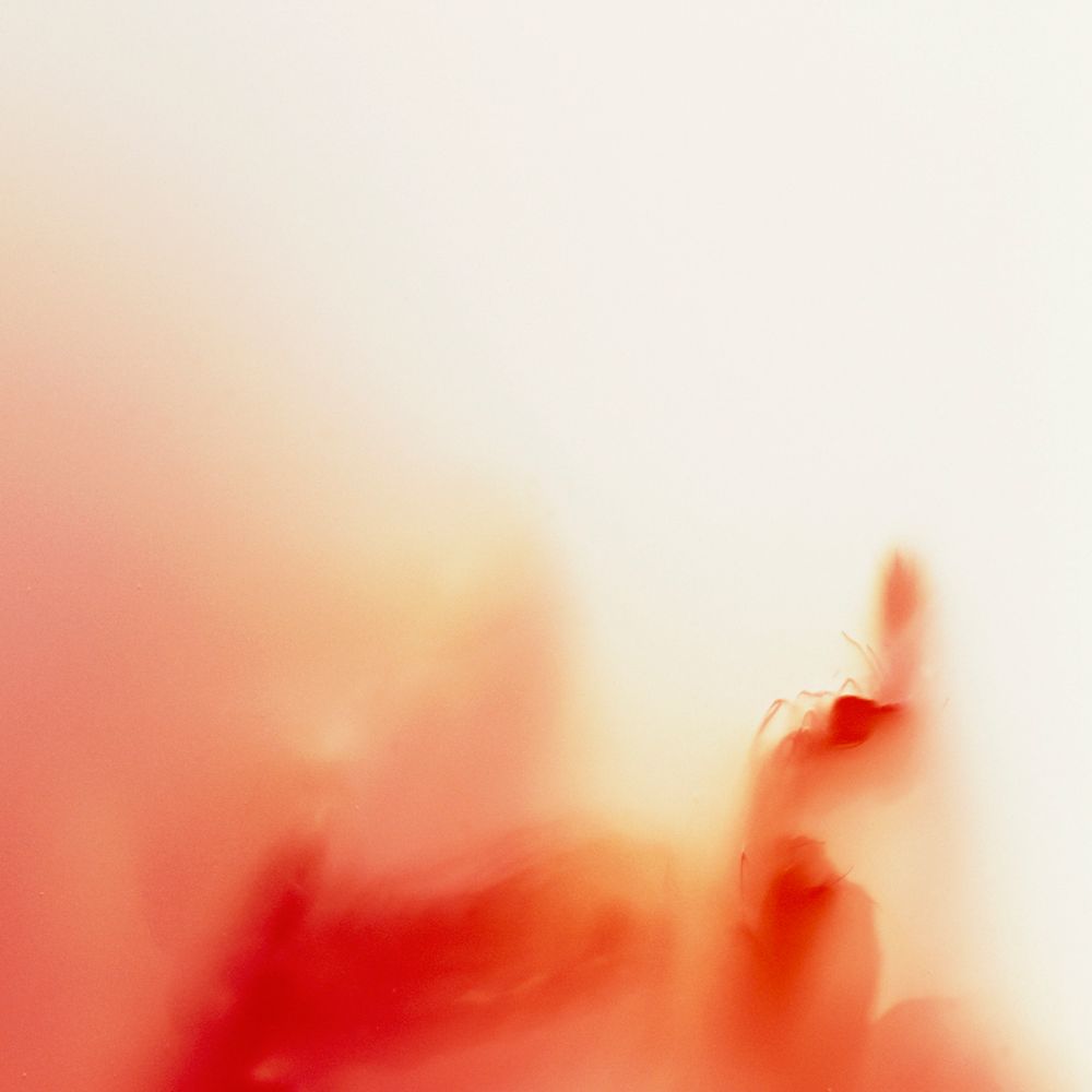 Body Archive