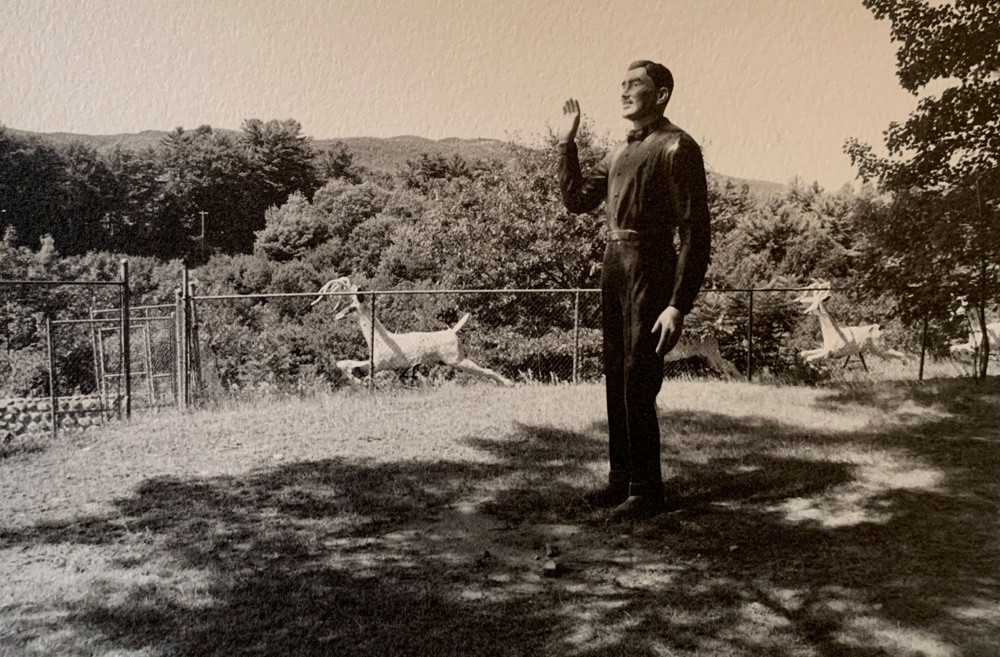 Magic Forest Lake George NY