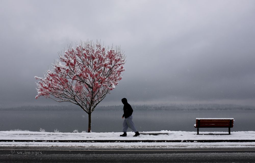 Street Photography/Street People