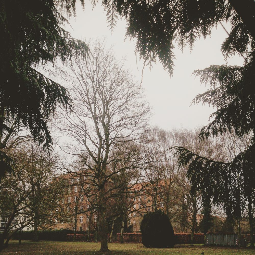 The Sensible: Impressions from Copenhagen
