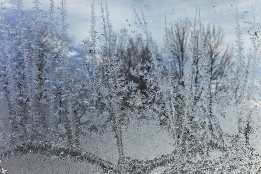 Canbra Hodsdon Northern Customs LensCulture