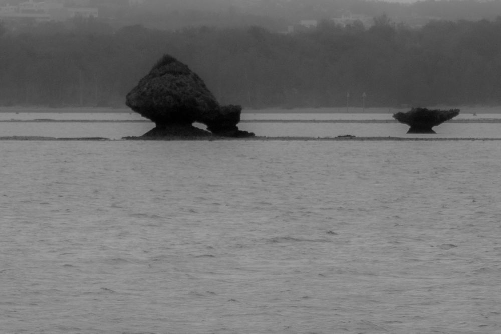 Drizzling Bay
