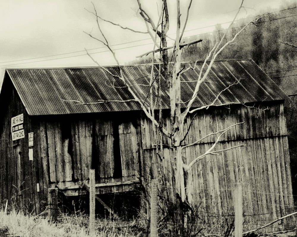 Black and White- Rural Images
