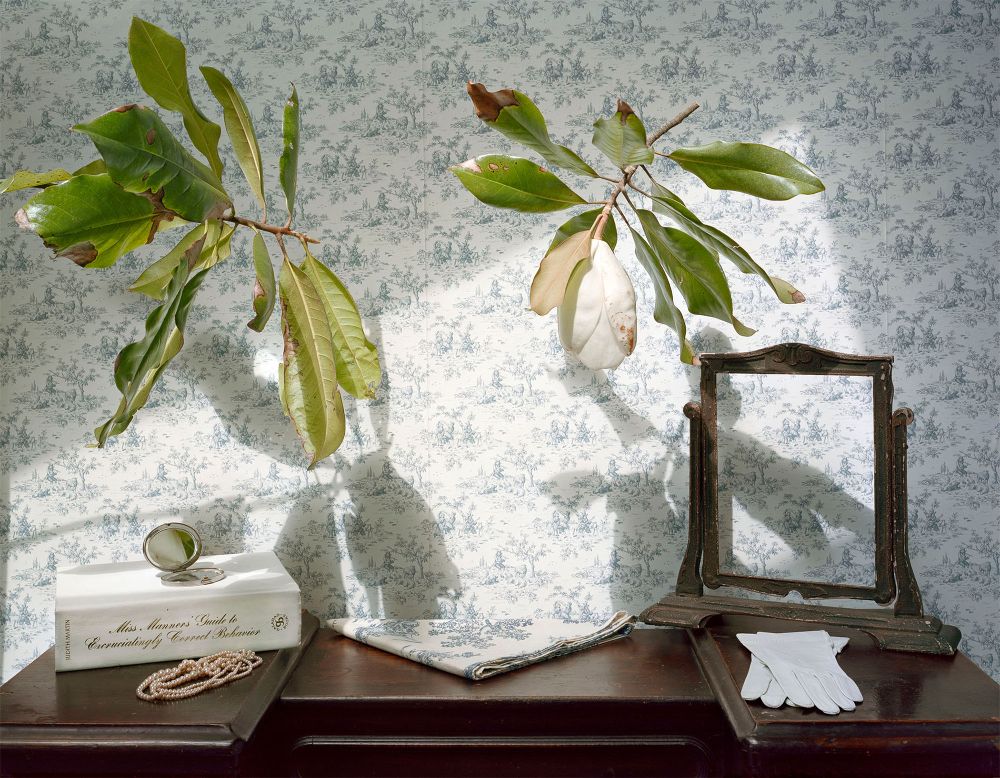 Vestige: Still Life