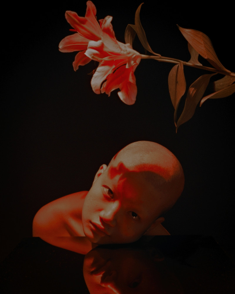Fearless Flowers