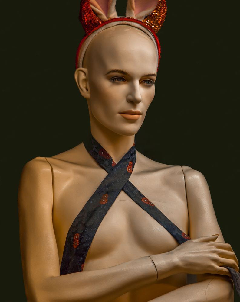 Artist Statement - Mannequin Series