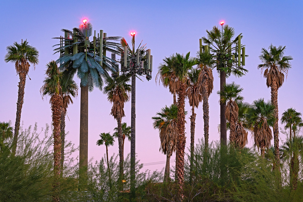 Fauxliage: Disguised Cell Towers of the American West