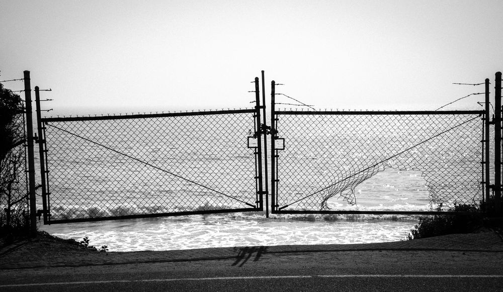 Black and Whites 
