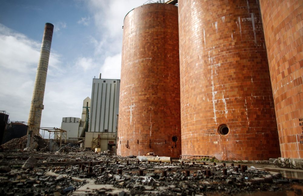 Pulp Mill