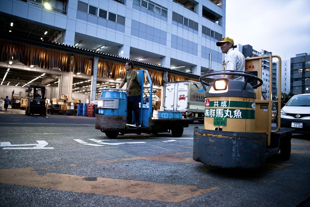 Tsukiji Market
