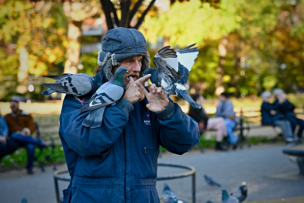 Once upon a Time there was a man who talked to pigeons