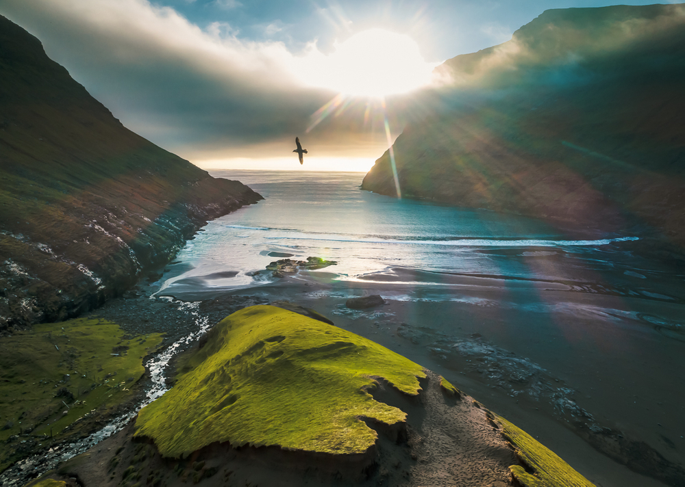 Self-isolation in the Faroe Islands