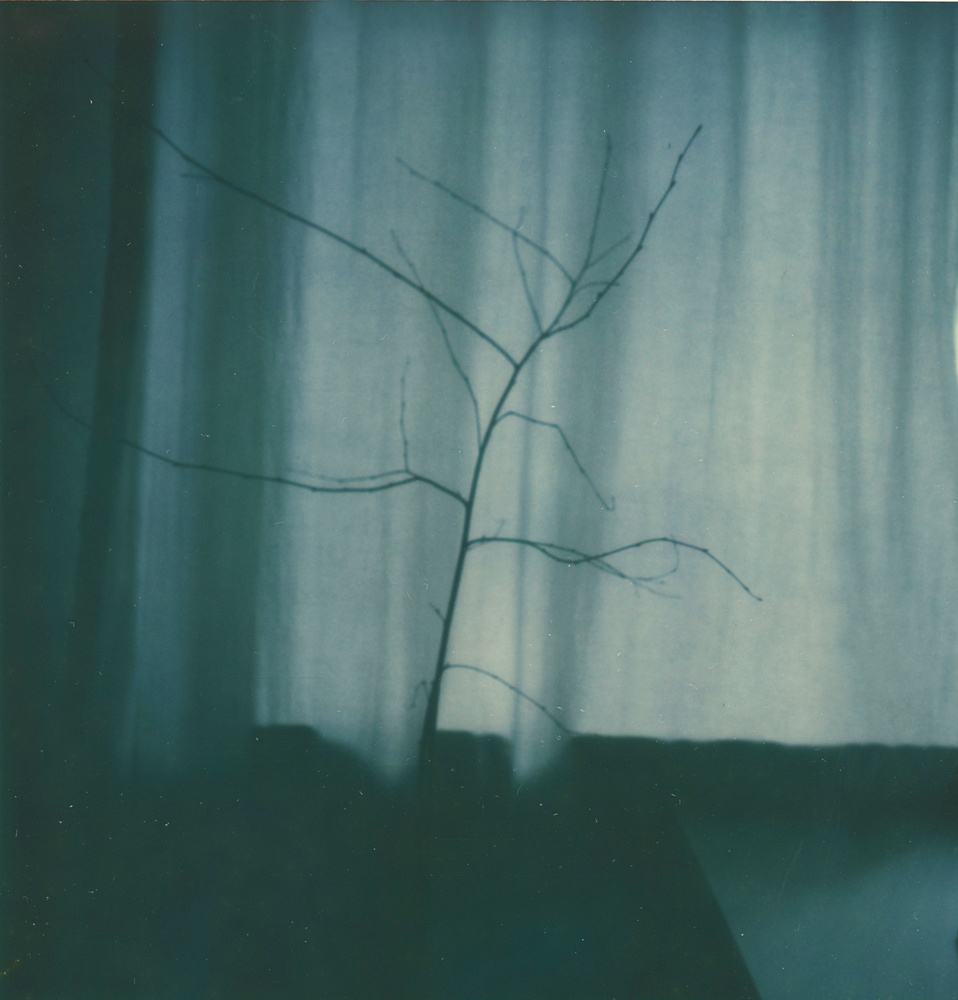 Sehnzucht (2015-2016)