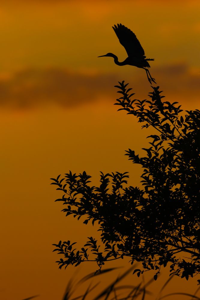 Naturaleza en Mexico