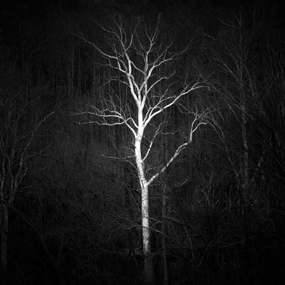 2023 Black & White Photography Awards Submission