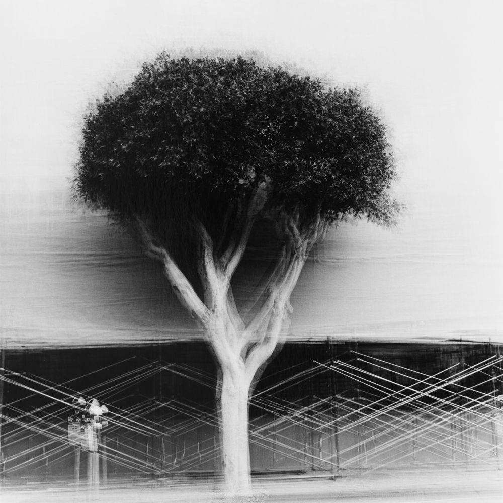 Multiexposures