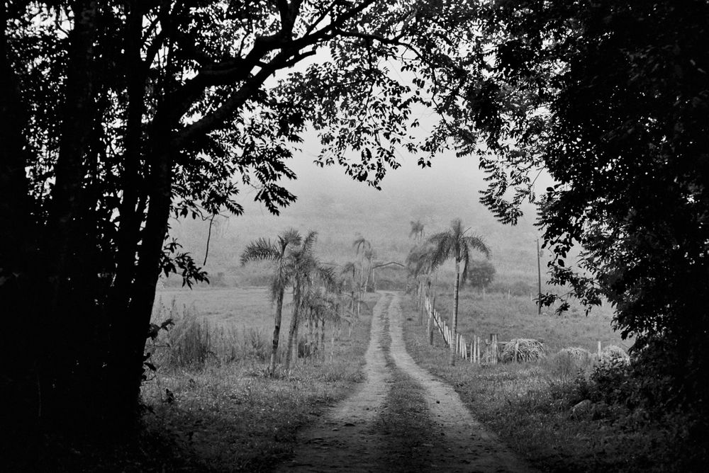 Misiones
