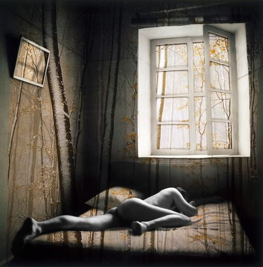 Dreams and Nightmares