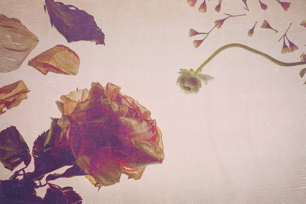 The Untended Garden - Act I