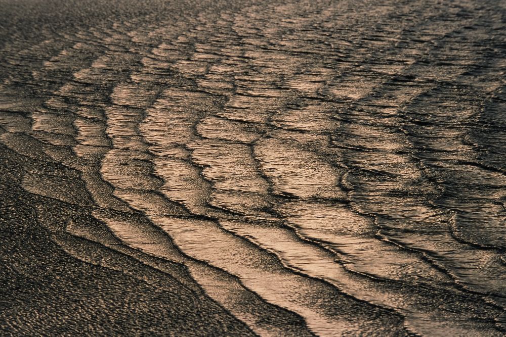 Dialogue with the Waves
