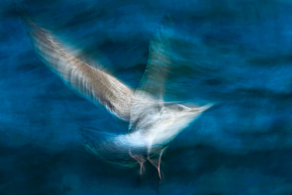 Out of the blue