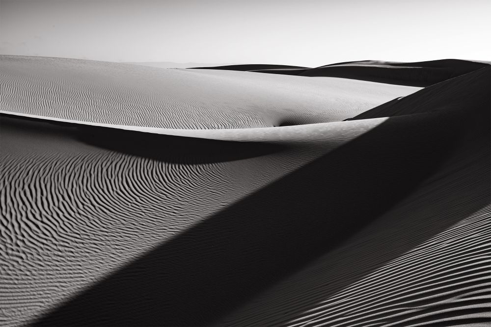 Elegy for the Earth