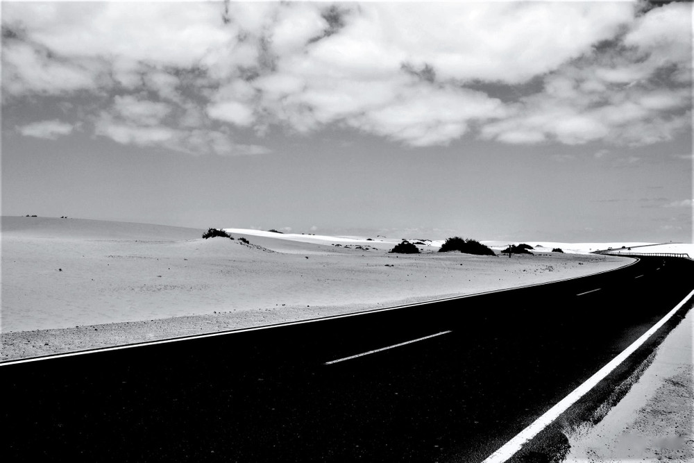 The Way