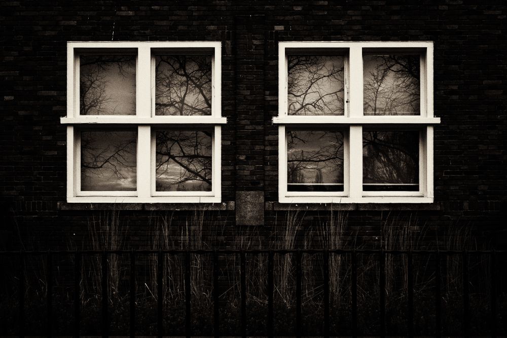 Fragments of Nature