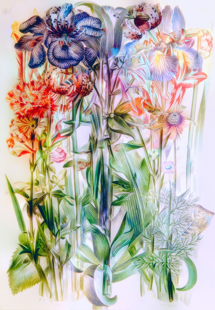 Larry Chait Virtual Bouquets from The Green Florilegium LensCulture