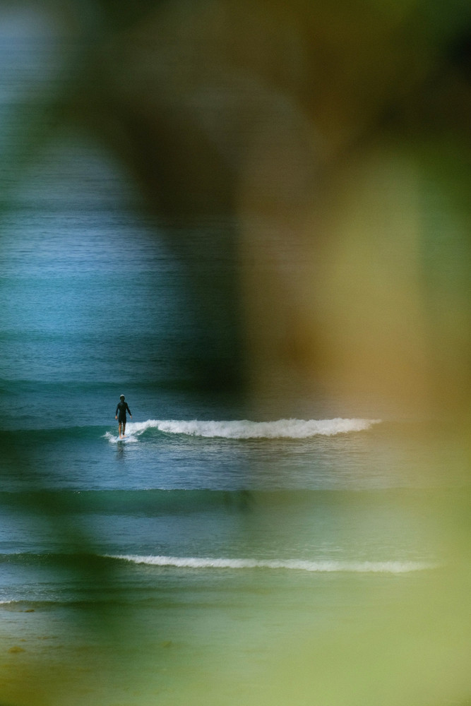 Surfing Parlementia