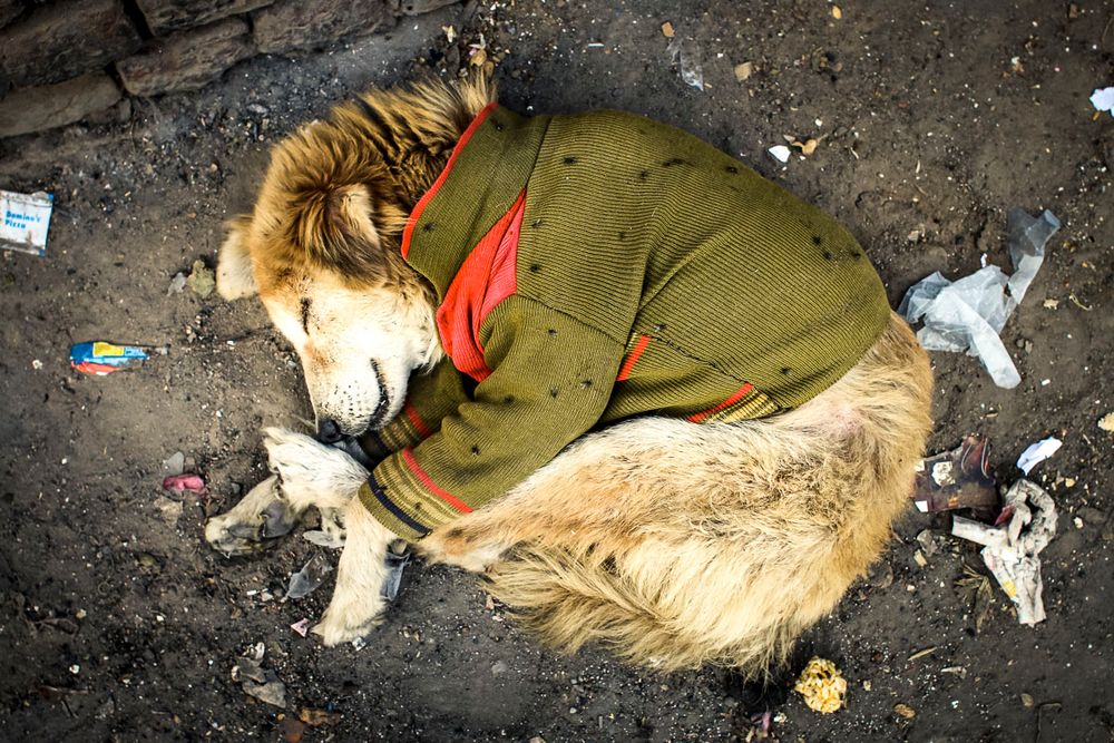 People of the Streets: Their essence in an image